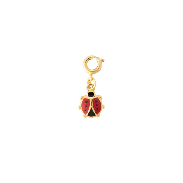 Lady Bug Charm