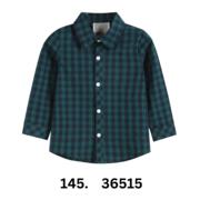 Blue and Green Gingham Button Up